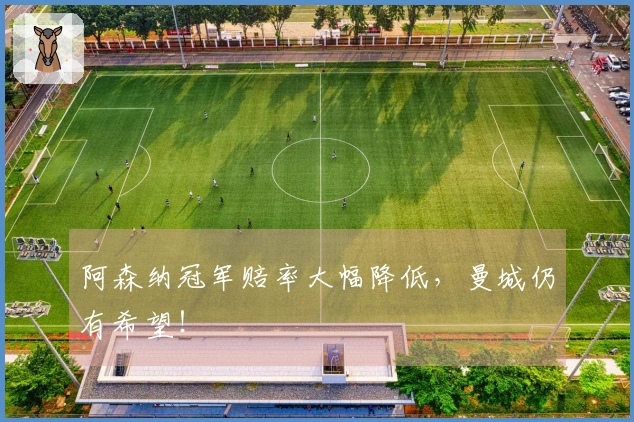 阿森纳冠军赔率大幅降低，曼城仍有希望！